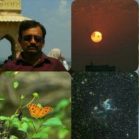 Nitin Dhawale