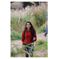Meera Mohan M