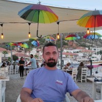 timur kurt