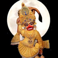 Bhavik Panchani