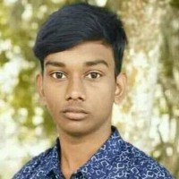 krishnokumar paul