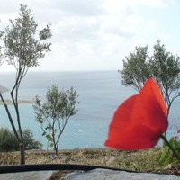 Fani-Stamata Lazarakou