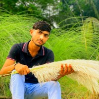 Md Akbar Hosen