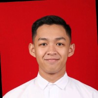 M. Ferdi Irwansyah