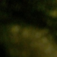 Tasha Undefined