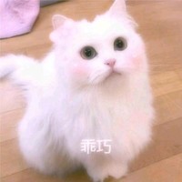 江江江