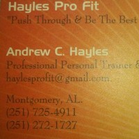 Andrew Hayles