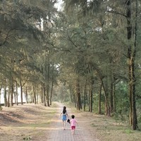 Viethung Nguyen