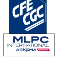 Déléguée Syndicale Cfe Cgc Mlpc
