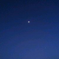 刘秀君