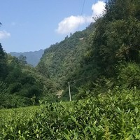 夏安全