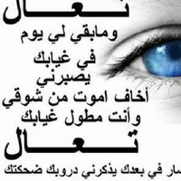 فاضل البصراوي