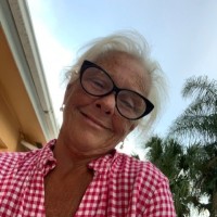 Joyce Moesle, Pmp, Pmi-Acp℠, Cste