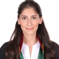 Av. Elif Merve Ertekin