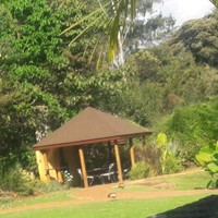 david kimathi