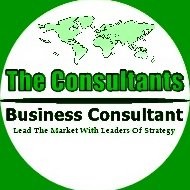 Business Strategy Consultant