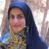 Hamideh Fatehi
