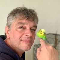 Auke Van Der Velde