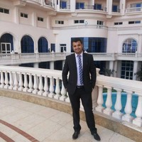 Wael Mohamed