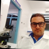 José Luiz Corrêa Junior Junior