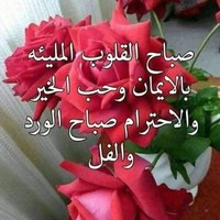 شعبان السليمان