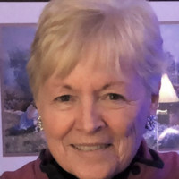 sue leslie