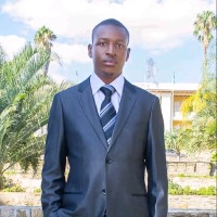 Ignatius Kudakwashe Matemba