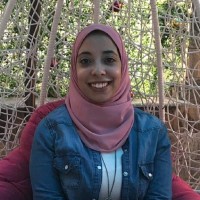 Aya Amer