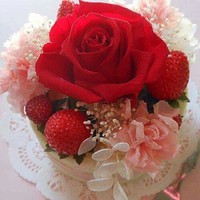 Ghazal Wafa