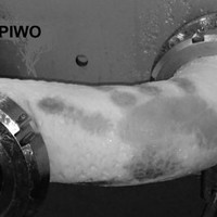 Sylwia Zdziechowska-Gawin