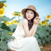 Khánh Linh Nguyễn Trần