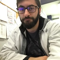 Stefano Lattanzio