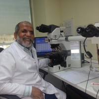 Samir El-Hady