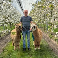 Ioan Van Spelden