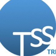 Trinity Staffing Solution