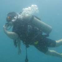 David W.
