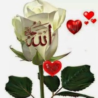 Mdaleem Uddin