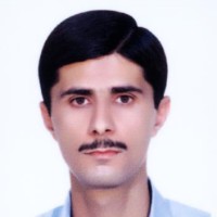 majid amiri