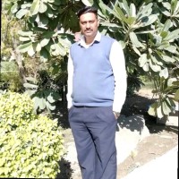 Anil Malik