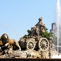 Aralia Bustos Valdivia