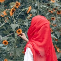 zimal noor