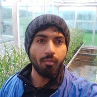 Ahsan Niaz