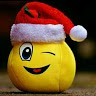 Dipak Bagle