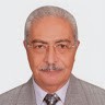 Mohammed A. E. Shaban