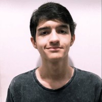 Victor Hugo Mendonça Ferro