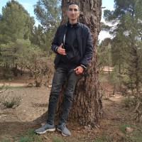 Moustafa Brahimi