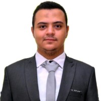 Osama Abd El-Nasser Ali