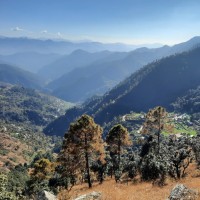 Jitendra Kumar
