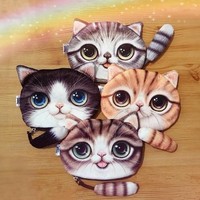 Little Cat