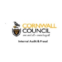 Cc Internal Audit, Fraud, Risk And Insurance Service